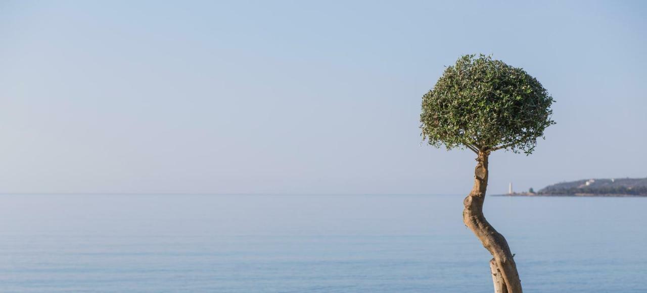 Mareggio Exclusive Residences&Suites Gythio Esterno foto